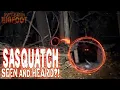 Lagu Sasquatch Seen and Heard?!- Investigation Bigfoot