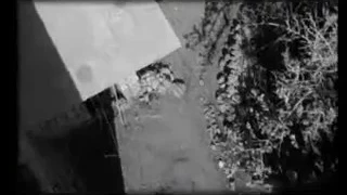 فاطمة هاله الصباغ من ألبوم فاطمة من أحفاد صلاح الدين 