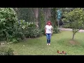 Download Lagu jakarta-kalimantan by Sinka Sisuka