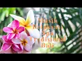 Download Lagu Musik Relaksasi Spa Tradisional Bali  [ No Copyright ]