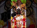 Download Lagu mero man hai gyo Lata pata🙏🙏🦚🕉️😘#bakebihari🙏🦚😘#radheradhe#yotubeshorts#shorts