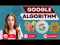 What is a Google algorithm How does Google determine search rankings