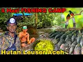 Download Lagu 4 HARI FISHING CAMP MENCARI IKAN DI HUTAN LEUSER ACEH, BERPETUALANG DAN MENELUSURI SUNGAI DI HUTAN 