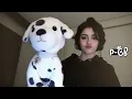 Egyptian Songs | Why are you selling me out? I was your eyes when you were lost