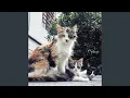 Los Gatos feat Gerald Thurmond