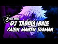 Download Lagu DJ TABOLA BALE x CALON MANTU IDAMAN MASHUP - KING ERCAN