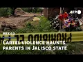 Five young friends missing in Mexico as cartel violence haunts parents AFP
