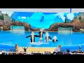 4K June 2022 Orca Encounter Full Show - Seaworld San Diego