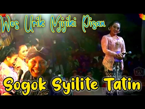 Download MP3 Sogok syilite tatin‼️Pak seno arep nyogok syilite tatin sampek tatin emosi #dalangseno #tatin