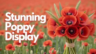Stunning poppy Display