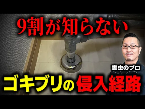 引越し前が効果的★侵入口封鎖、薬剤噴霧込み料金★YouTube出演