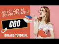 Write C language code in Golang CGO in Golang