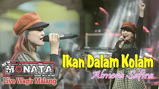ikan dalam kolam almera safira new monata dhehan audio live wagir malang
