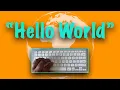 Coding Hello World in 9 Programming Languages ASMR No Talking