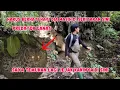 Lagu BIKIN MERINDING  JEJAK KAKI MACAN SAAT MENCARI#kayugaharu 75 hari di hutan PART#17