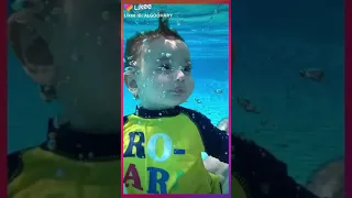 اغنيه يا اخواتى بحبها ده حبيبه امها 