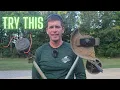 Lawn Edging 101 - Tips and Tricks