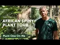 Madagascar South Africa SPINY SUCCULENT Tour Ep 321