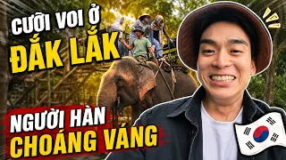 Người Hàn lần đầu cưỡi voi ở Việt Nam