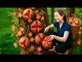 Download Lagu Harvesting Rare Thornless Salak | Turning Them Into Delicious Treats Sold Out at the Village Market