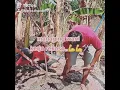 Download Lagu Bojoku semangatku