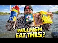Will Catfish eat ANYTHING Grocery Store Bait Challenge
