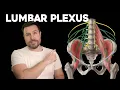 The Lumbar Plexus Explained Corporis