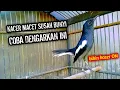 Download Lagu KACER MACET SUSAH BUNYI DENGARKAN INI KACER BETINA GACOR !! PANCINGAN KACER GACOR PASTI NYAUT AMPUH.