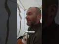 #marriageproposals