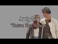 Download Lagu Kukira Kau Rumah-Amigdala (Music Lyrics with English Sub)