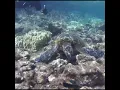 Be Like Water