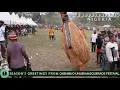 Lagu OKENMUO UNUBI MASQUERADE FESTIVAL 2026