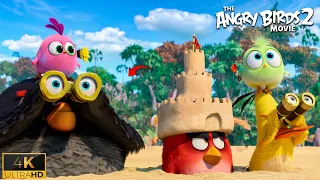 funny pig vs bird fight opening scene the angry birds movie 2 2019