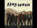 Download Lagu HAYUARA - ALOGO ( OFFICIAL MUSIC VIDEO)