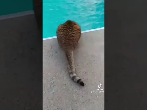 reklam alanı reklam