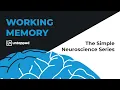 The Simple Neuroscience of Working Memory Verified