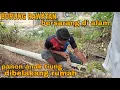 Download Lagu WOOWW BURUNG TIUNG RAWAT DI ALAM_TERNYATA ANAKNYA SUDAH BESAR