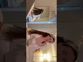 Download Lagu Periscope live LOVELYGIRL 😍😍 #periscope #live #broadcast #livestream