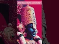 Download Lagu Om Namo Narayana| Venkateshwara Tirupati Whatsapp Status 💙 Saturday Vibes Status