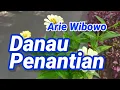 Download Lagu Danau Penantian Duet Arie Wibowo Ervina Ini Kisah Tentang Seorang Dara Jelita Hidup Menyendiri