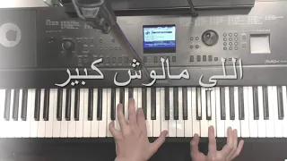 اللي مالوش كبير   عزف بيانو دندنها