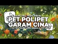 Lagu DJ PET POLIPET PIPET ANGKA 7 | GARAM CINA REMIX FULL SONG VIRAL TIKTOK TERBARU YANG KALIAN CARI 