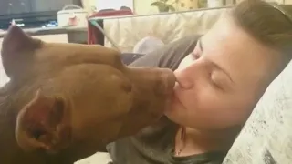 i love my dog more than my boyfriend