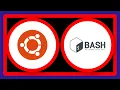 No such file or directory error in bash but the file exists