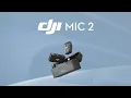 Channel