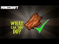 What Can You Do With ROTTEN FLESH MINECRAFT