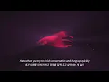 msftz(미스피츠) '나는 요즘(Latest Conversation)' Official Lyric Video