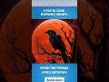 Fakta Menarik Burung Ababil #shorts #short #islam