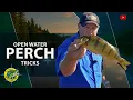 How to Catch Perch Open Water Perch Tricks Destination Fish TV with Jon Thelen