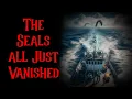 Download Lagu THE SEALS JUST VANISHED | Ocean Horror